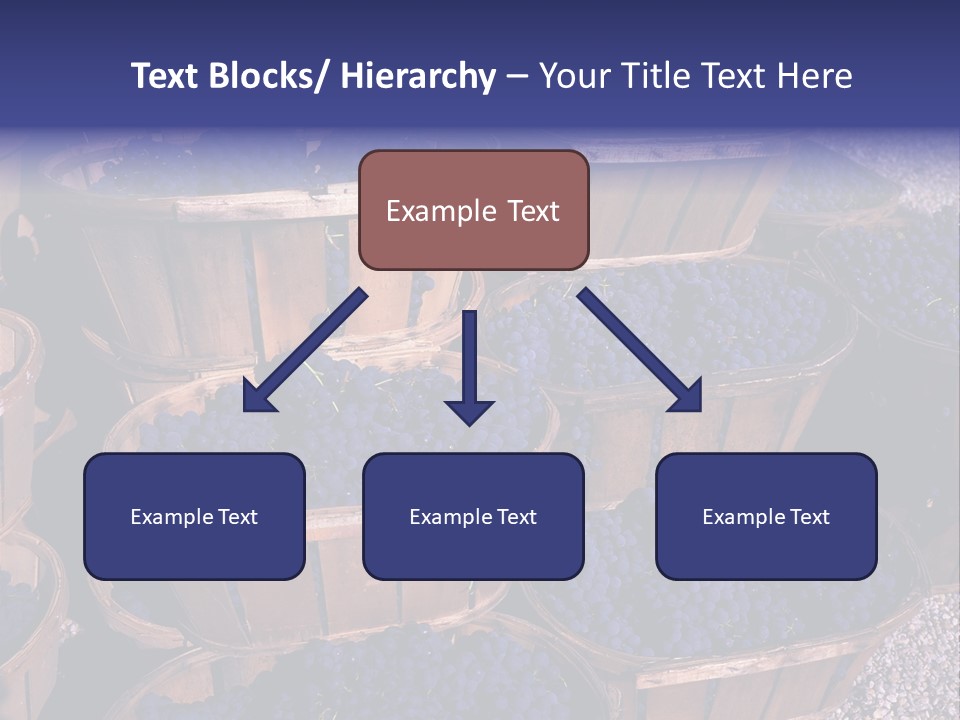 Blue Grapes After The Harvest In Wedge Baskets PowerPoint Template