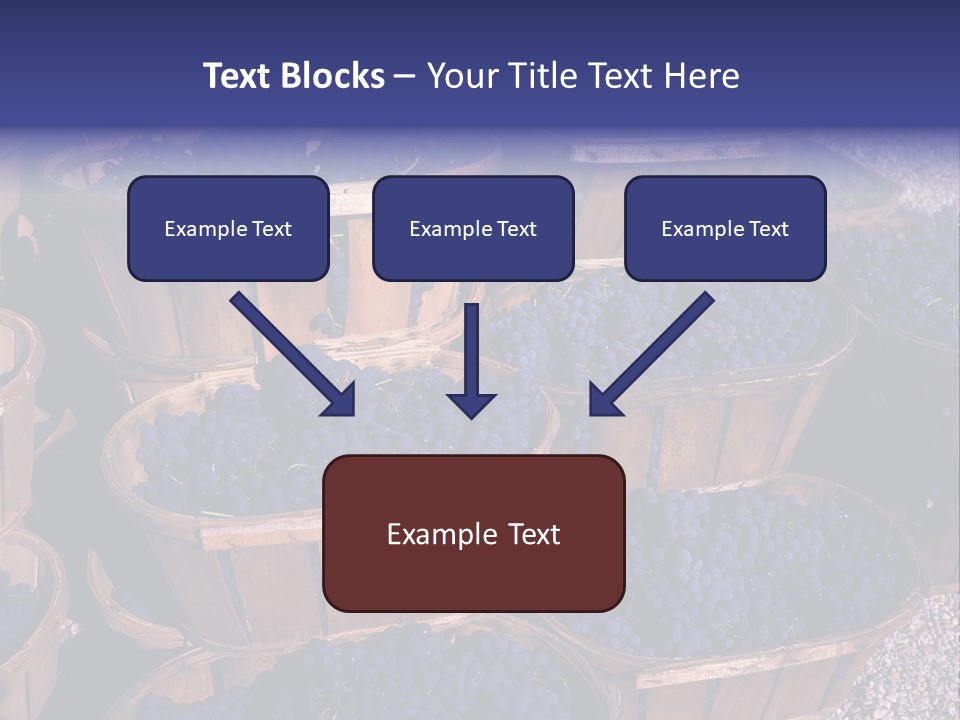 Blue Grapes After The Harvest In Wedge Baskets PowerPoint Template