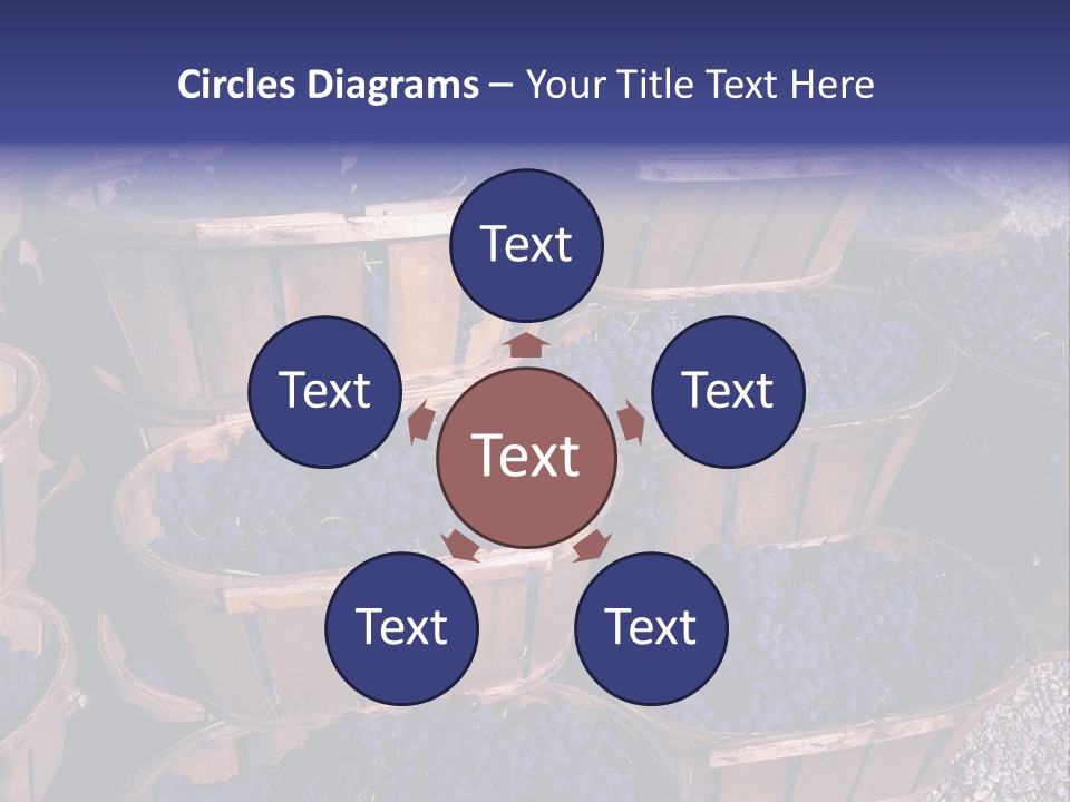 Blue Grapes After The Harvest In Wedge Baskets PowerPoint Template