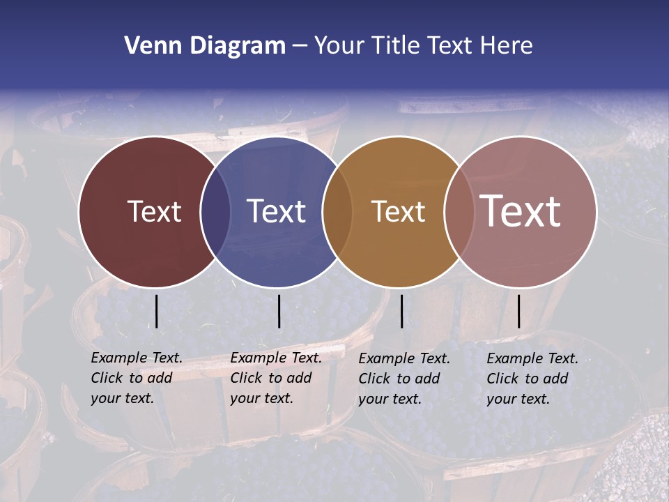 Blue Grapes After The Harvest In Wedge Baskets PowerPoint Template