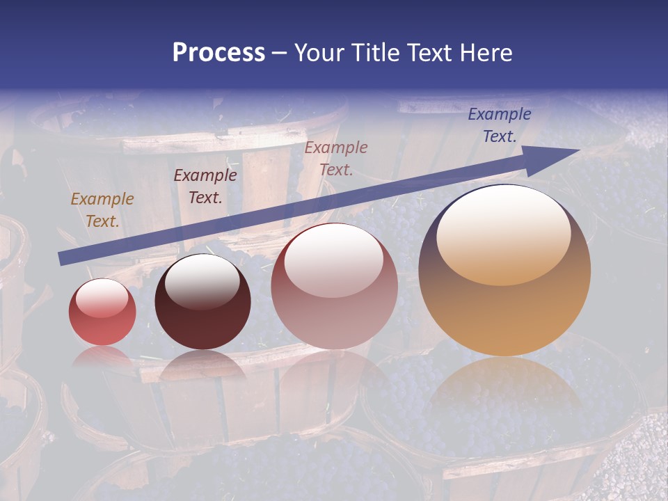 Blue Grapes After The Harvest In Wedge Baskets PowerPoint Template