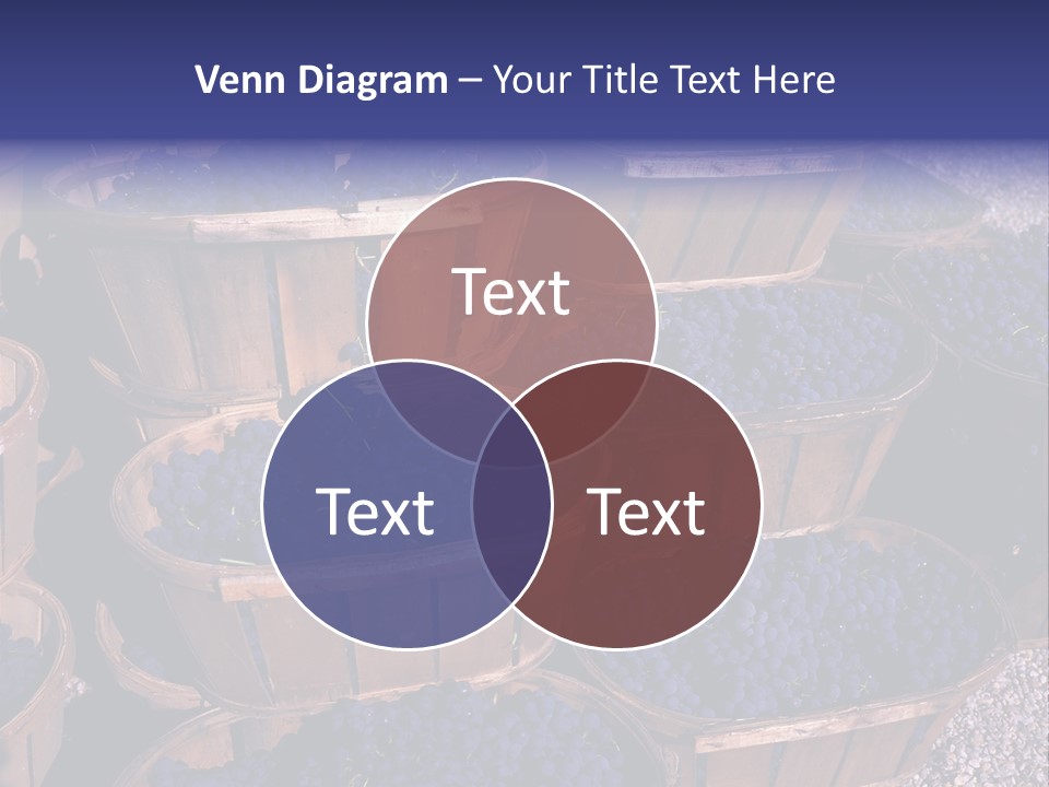 Blue Grapes After The Harvest In Wedge Baskets PowerPoint Template