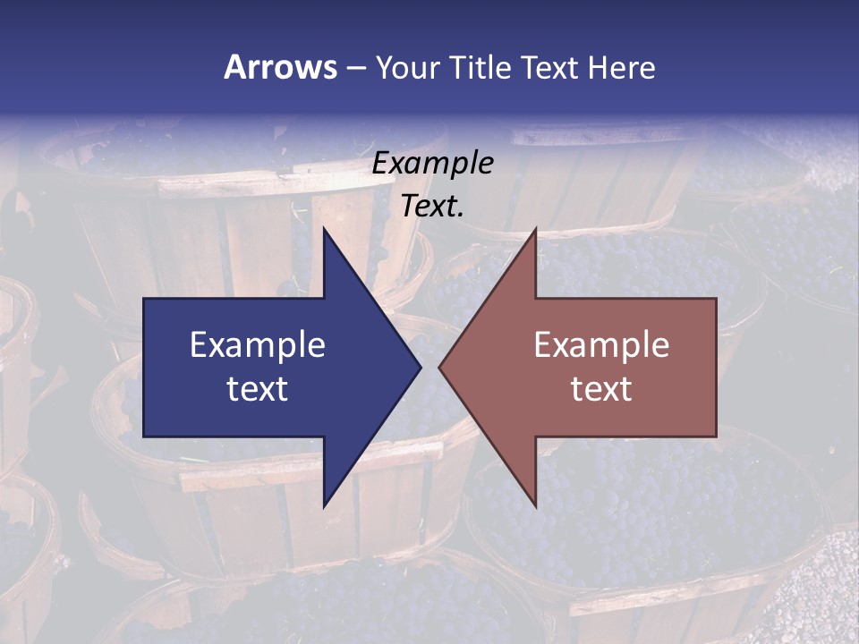 Blue Grapes After The Harvest In Wedge Baskets PowerPoint Template