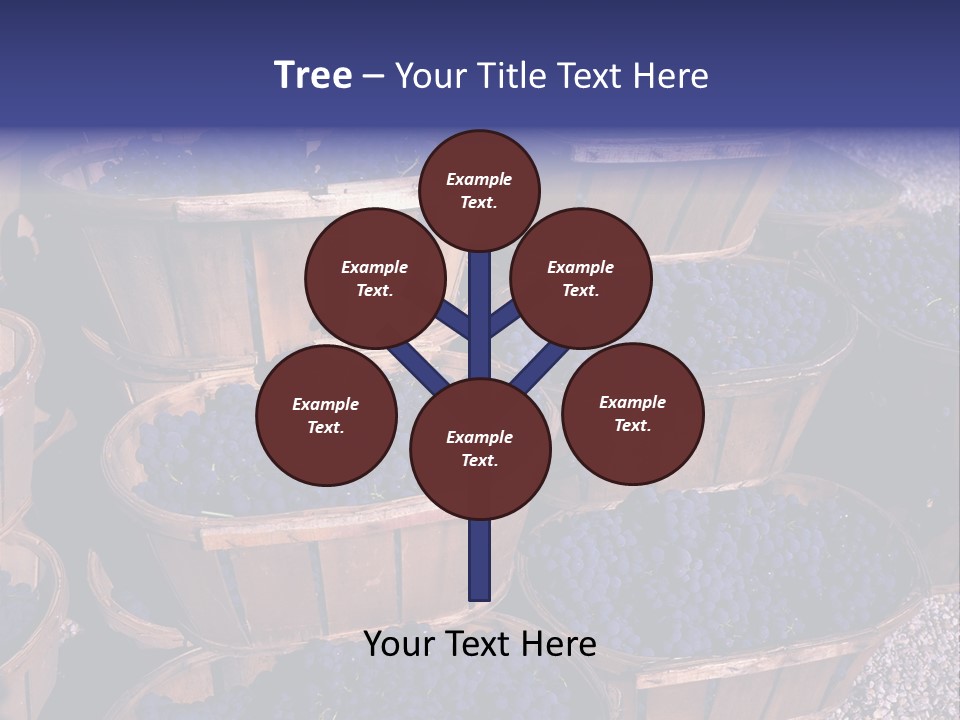 Blue Grapes After The Harvest In Wedge Baskets PowerPoint Template