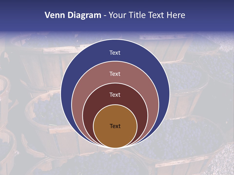 Blue Grapes After The Harvest In Wedge Baskets PowerPoint Template