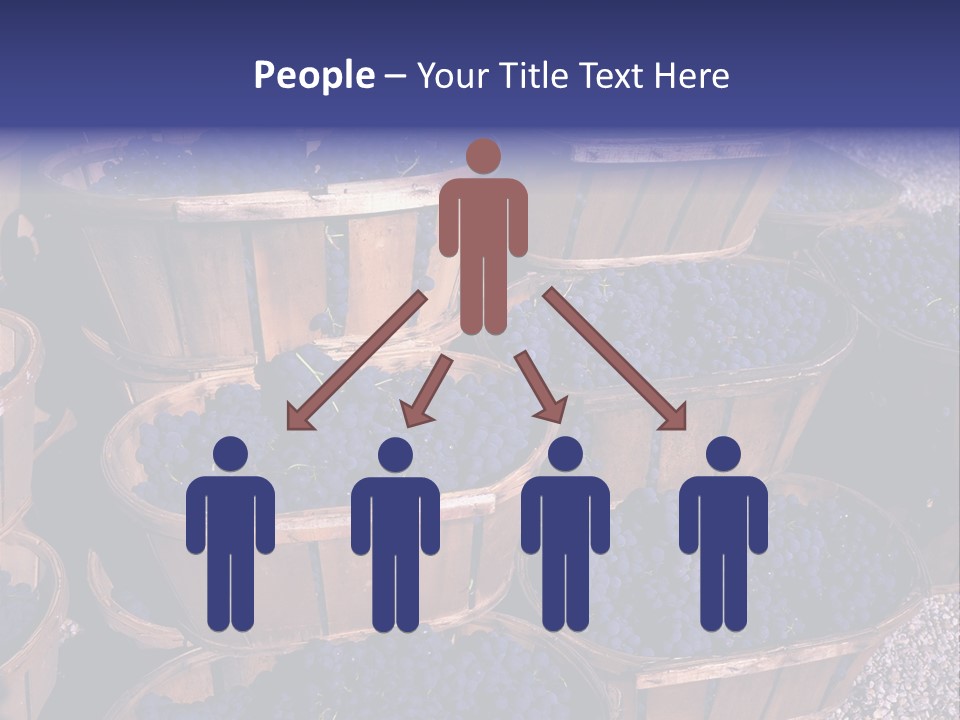 Blue Grapes After The Harvest In Wedge Baskets PowerPoint Template