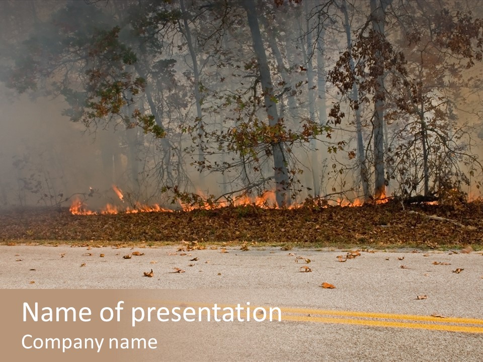 A Fire Hydrant On The Side Of A Road With A Forest In The Background PowerPoint Template