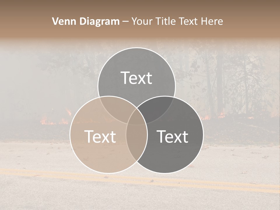 A Fire Hydrant On The Side Of A Road With A Forest In The Background PowerPoint Template