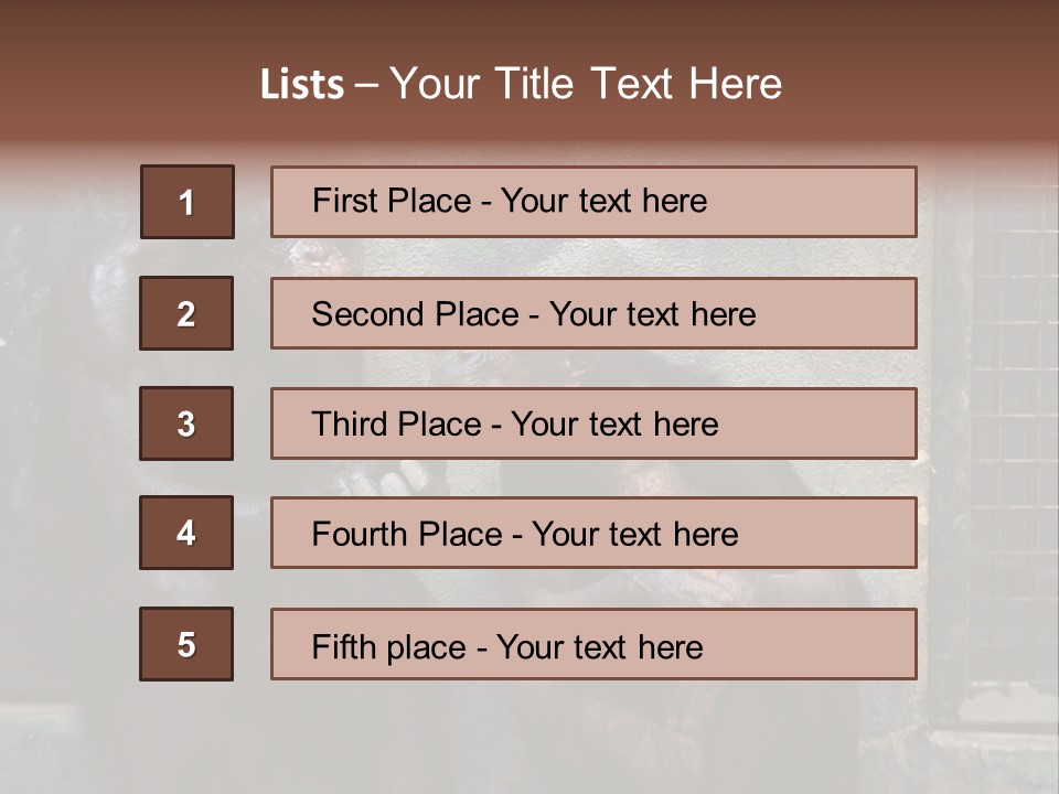 Chimpanzees In Discussion PowerPoint Template