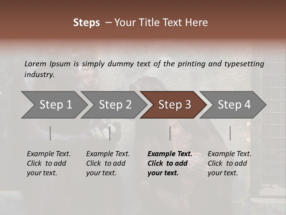 Chimpanzees In Discussion PowerPoint Template