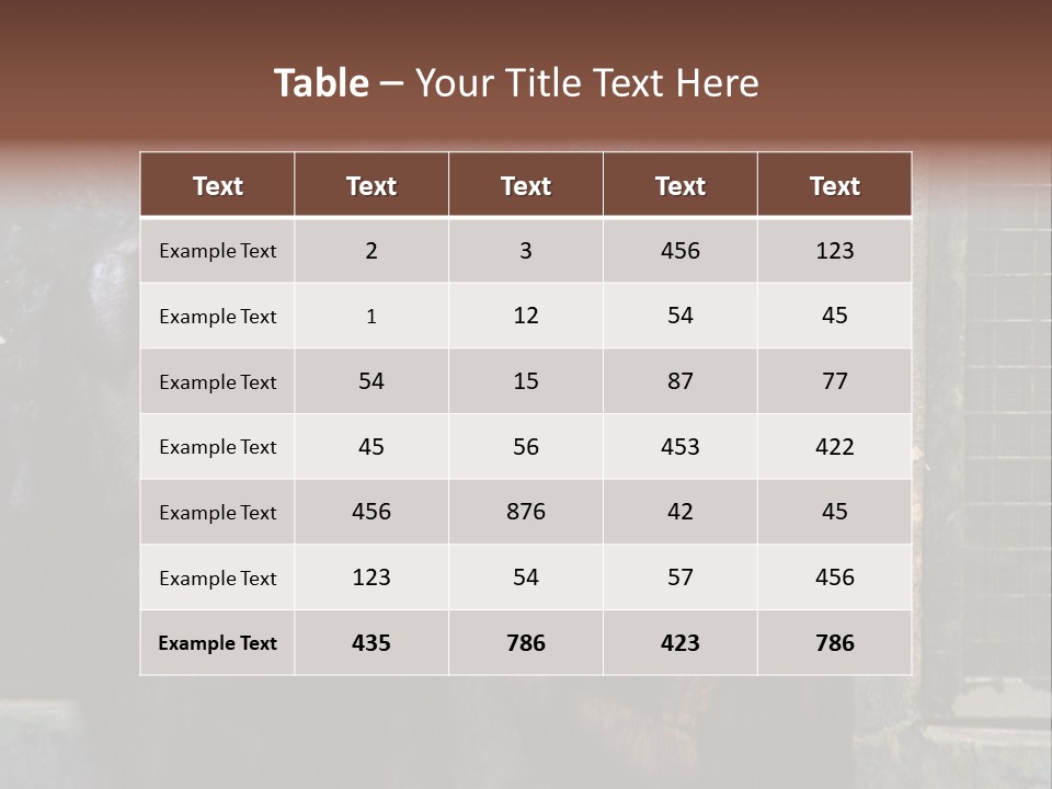 Chimpanzees In Discussion PowerPoint Template