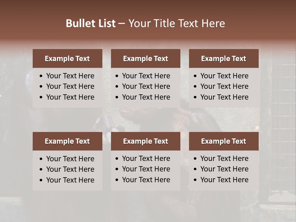 Chimpanzees In Discussion PowerPoint Template