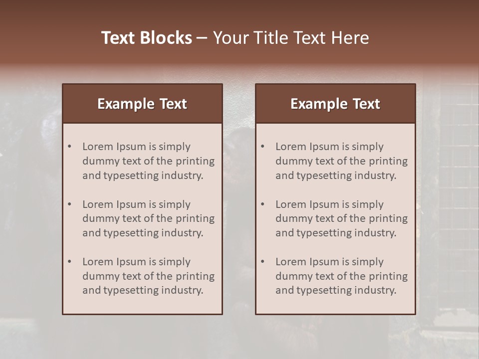 Chimpanzees In Discussion PowerPoint Template