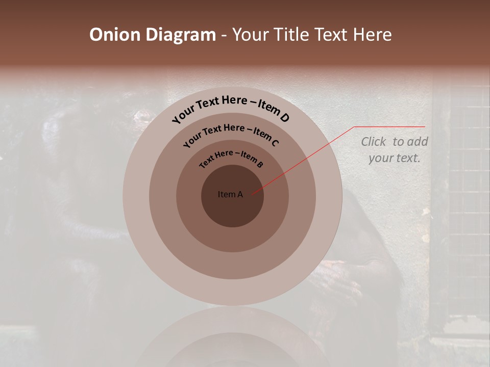 Chimpanzees In Discussion PowerPoint Template