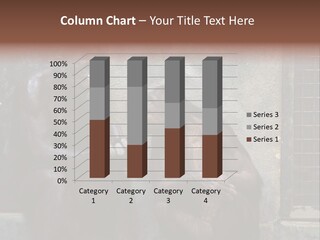 Chimpanzees In Discussion PowerPoint Template