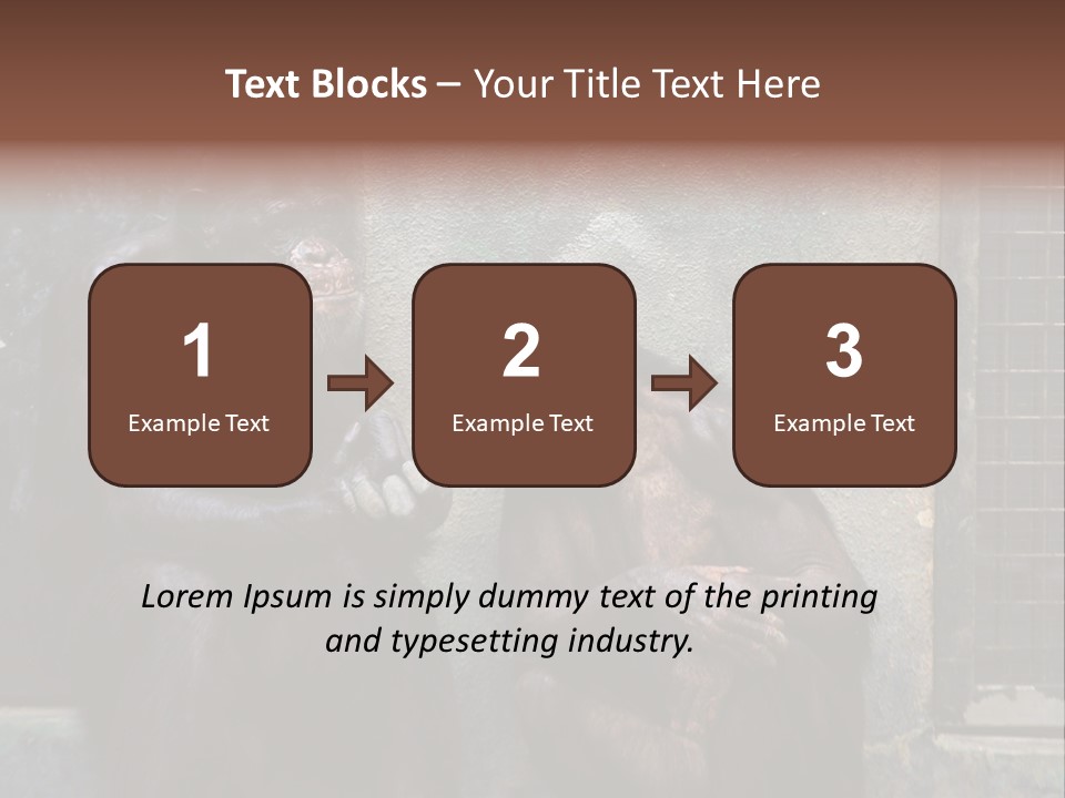 Chimpanzees In Discussion PowerPoint Template