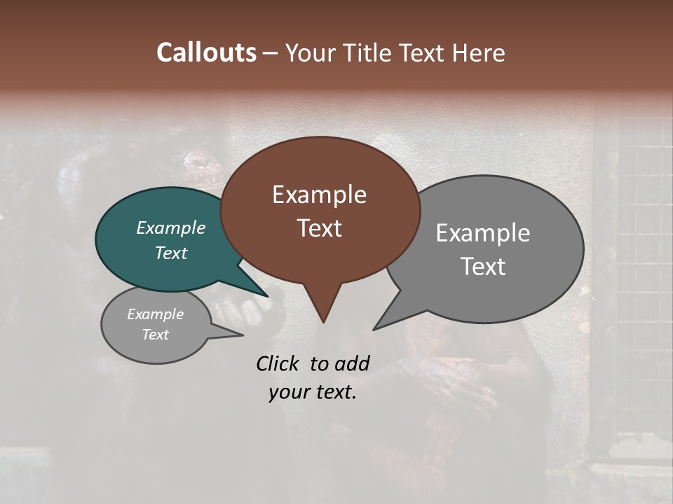 Chimpanzees In Discussion PowerPoint Template