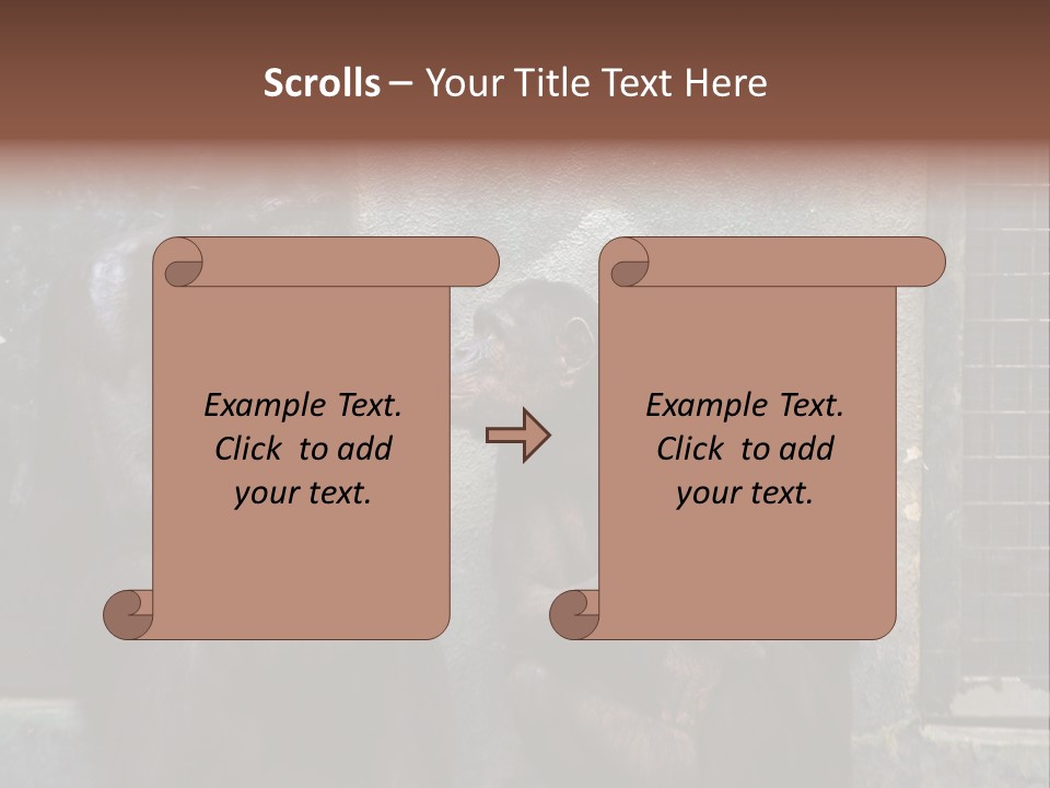 Chimpanzees In Discussion PowerPoint Template