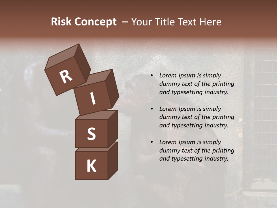 Chimpanzees In Discussion PowerPoint Template