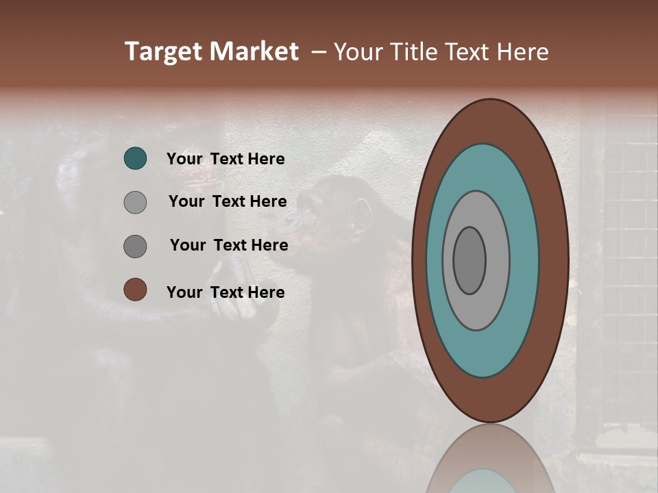 Chimpanzees In Discussion PowerPoint Template