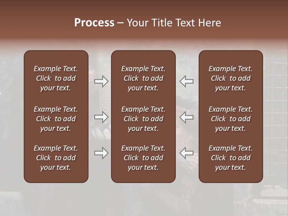 Chimpanzees In Discussion PowerPoint Template