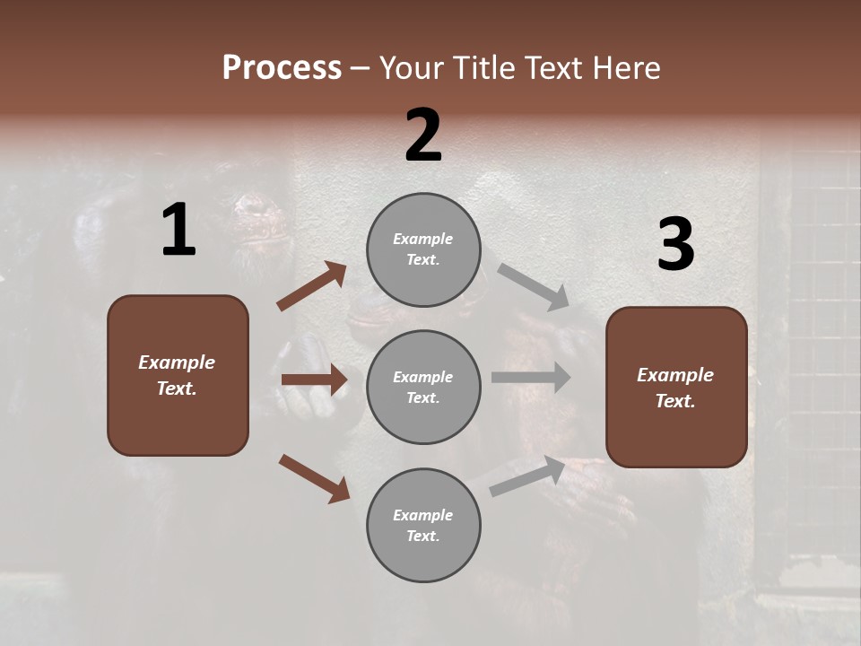 Chimpanzees In Discussion PowerPoint Template