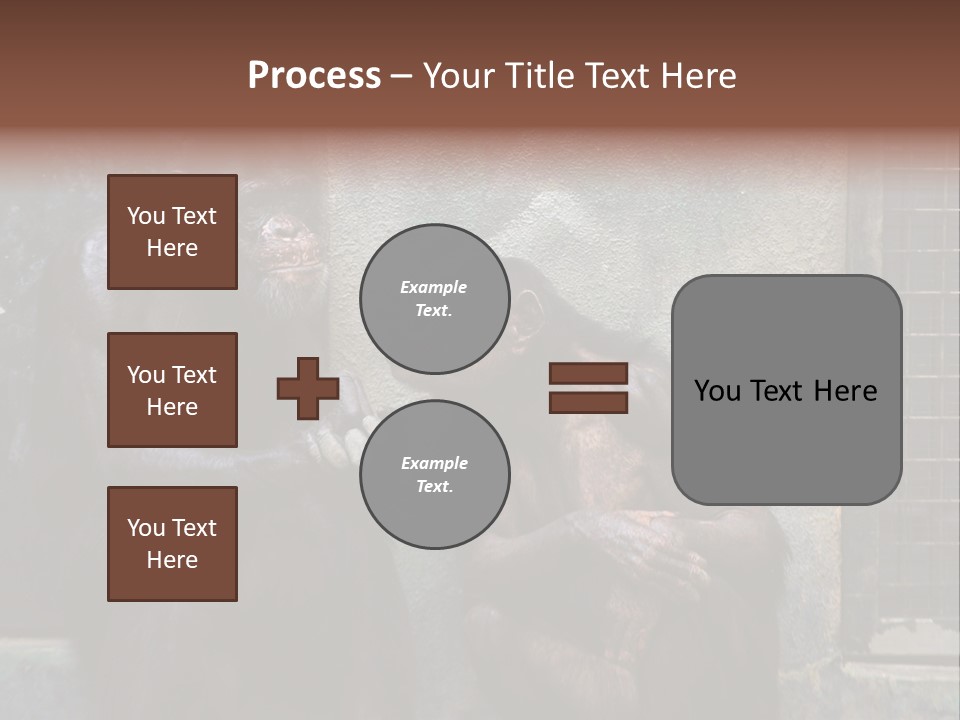 Chimpanzees In Discussion PowerPoint Template