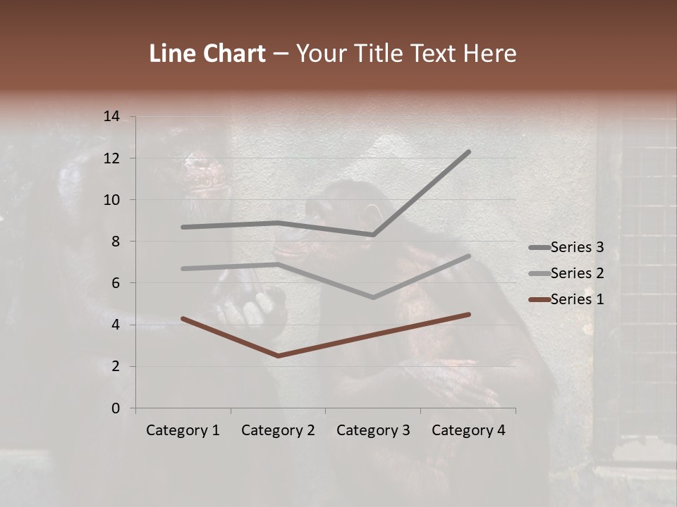 Chimpanzees In Discussion PowerPoint Template