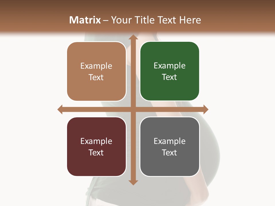 The Pregnant Female On A White Background PowerPoint Template