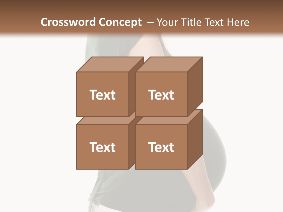 The Pregnant Female On A White Background PowerPoint Template