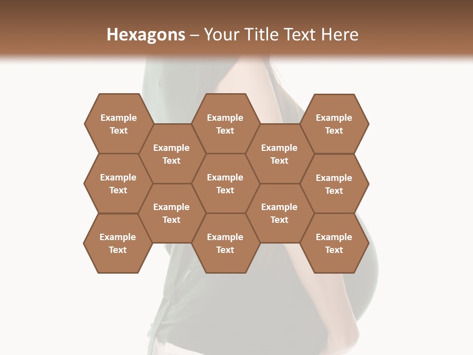 The Pregnant Female On A White Background PowerPoint Template