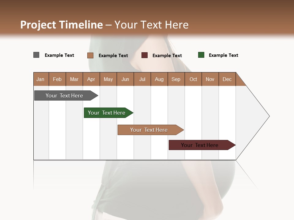 The Pregnant Female On A White Background PowerPoint Template