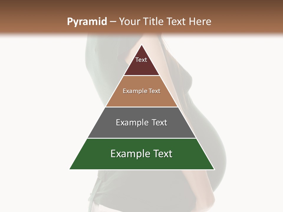 The Pregnant Female On A White Background PowerPoint Template