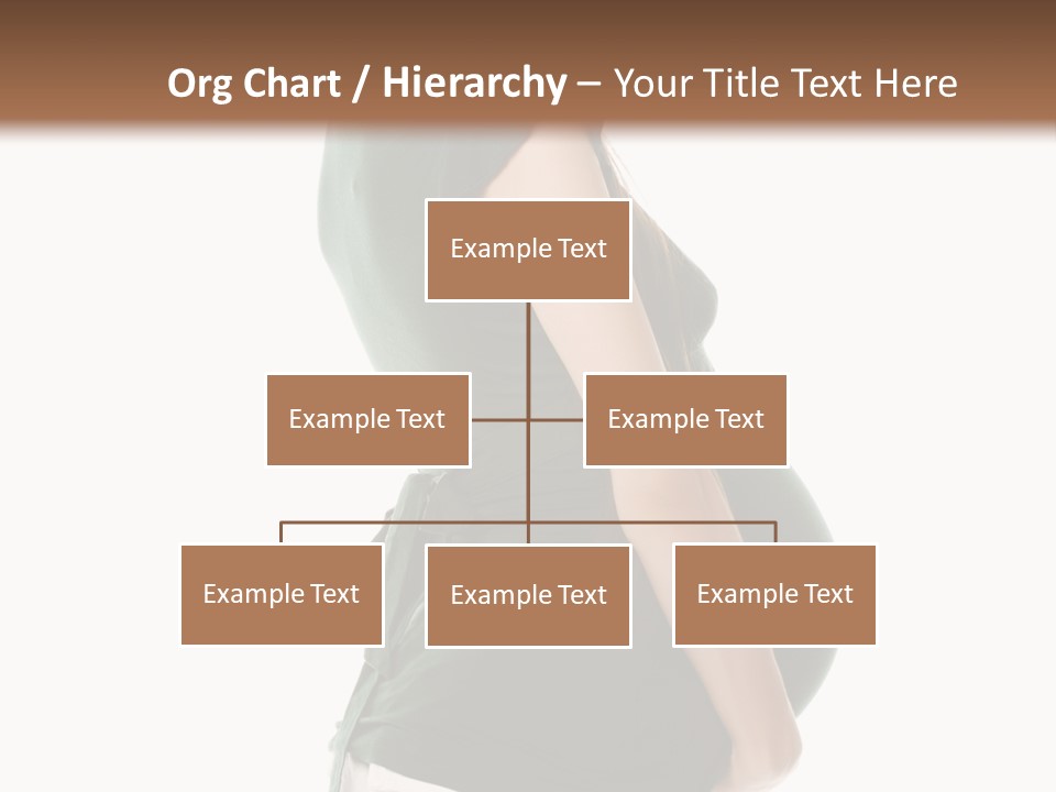 The Pregnant Female On A White Background PowerPoint Template