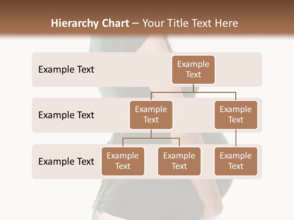 The Pregnant Female On A White Background PowerPoint Template