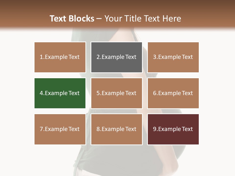 The Pregnant Female On A White Background PowerPoint Template