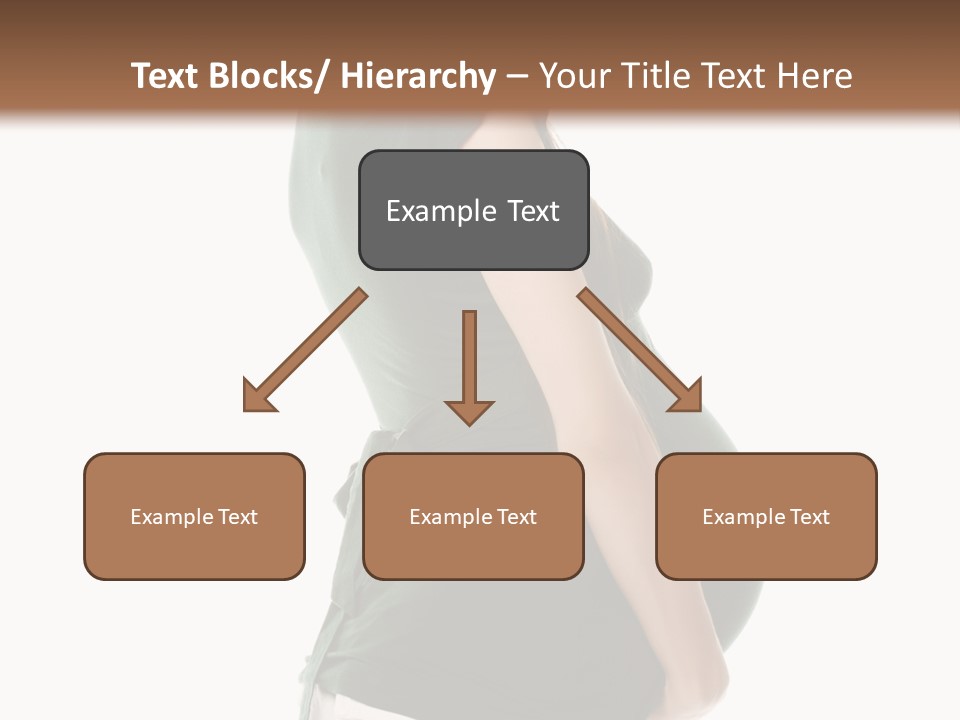 The Pregnant Female On A White Background PowerPoint Template