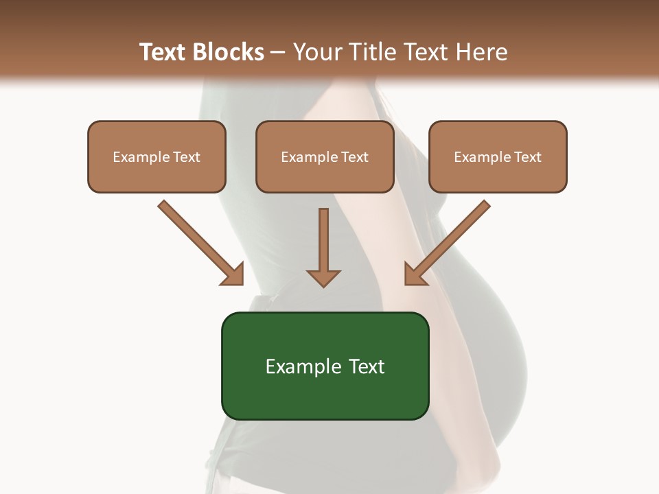 The Pregnant Female On A White Background PowerPoint Template