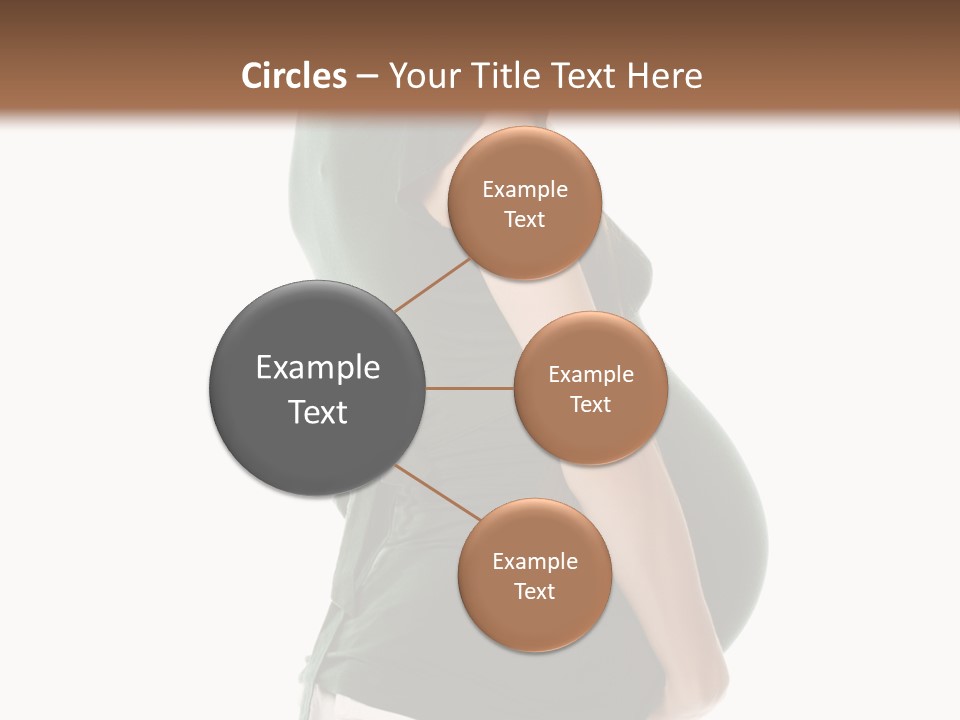 The Pregnant Female On A White Background PowerPoint Template