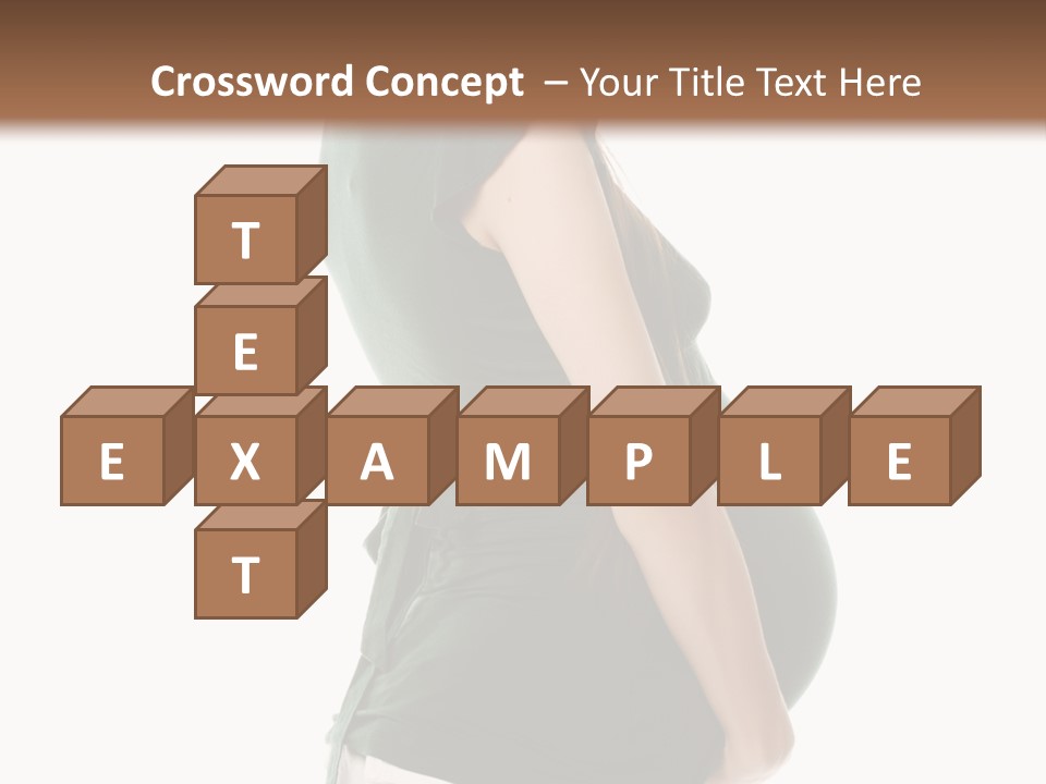 The Pregnant Female On A White Background PowerPoint Template