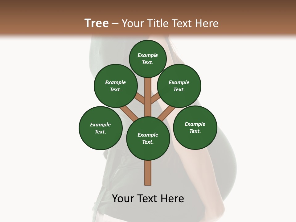 The Pregnant Female On A White Background PowerPoint Template