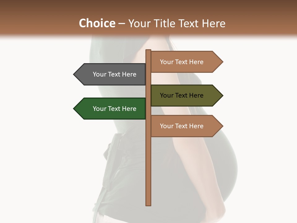 The Pregnant Female On A White Background PowerPoint Template