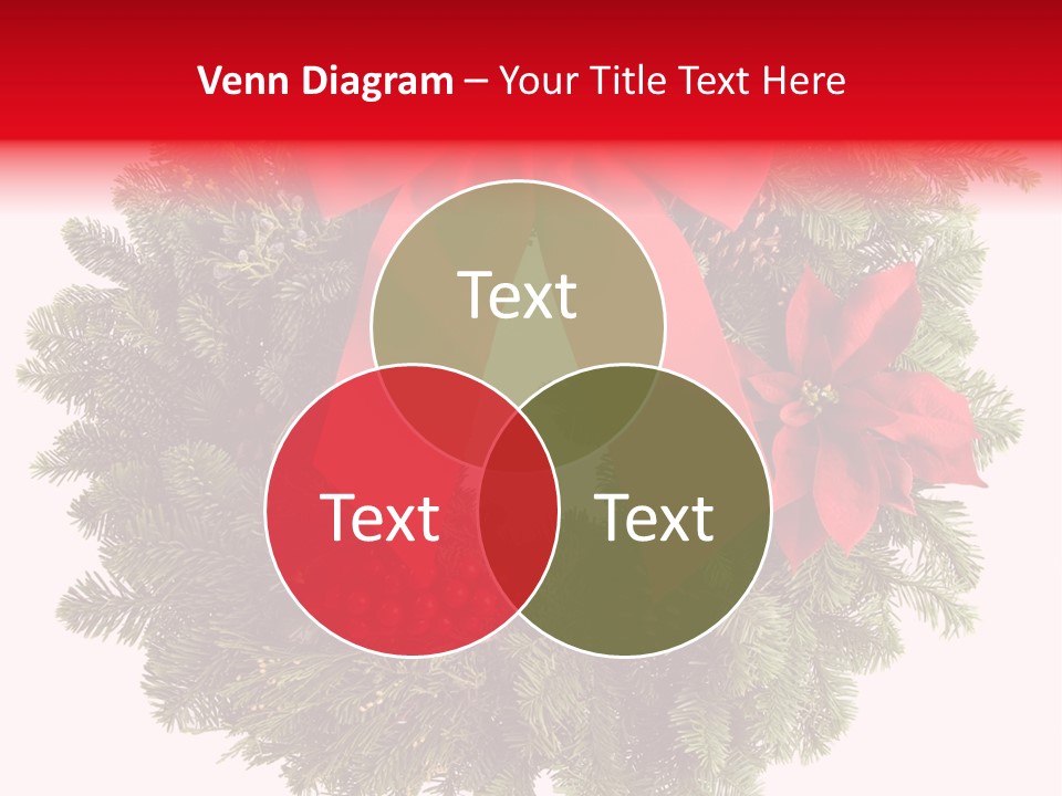 Christmas Wreath Made From Real Pine Boughs Isolated On White Background PowerPoint Template