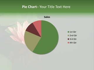 Water Lily And Its Reflection PowerPoint Template