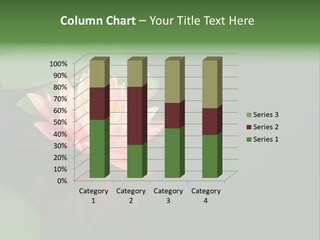 Water Lily And Its Reflection PowerPoint Template