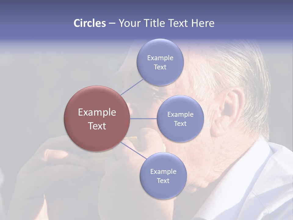 Eating Corn PowerPoint Template