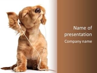 Young Puppy Listening To Music On Headphones. PowerPoint Template