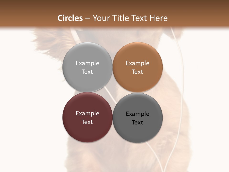 Young Puppy Listening To Music On Headphones. PowerPoint Template