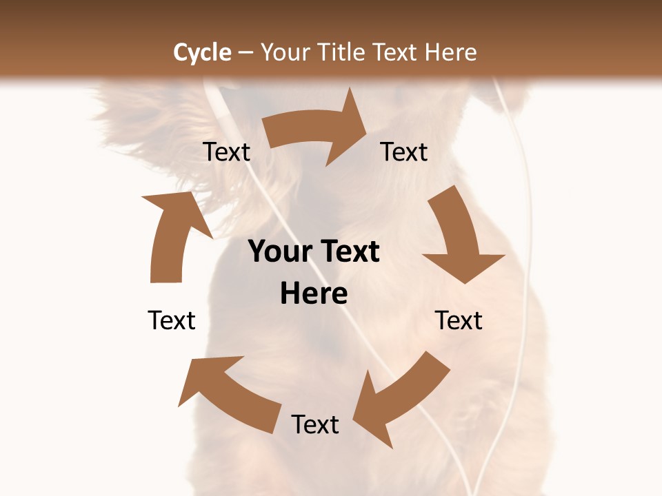 Young Puppy Listening To Music On Headphones. PowerPoint Template