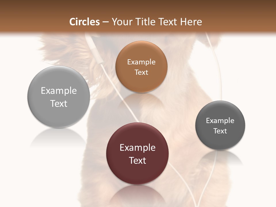 Young Puppy Listening To Music On Headphones. PowerPoint Template